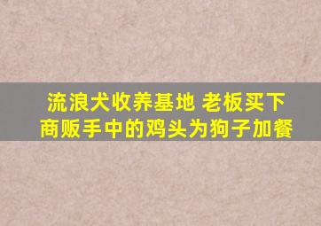 流浪犬收养基地 老板买下商贩手中的鸡头为狗子加餐